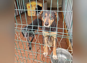 Sophie, ca. 2022 geboren