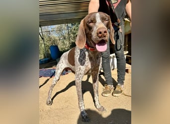 ﻿Sportlicher Partner mit Kuschelqualitäten sucht Familie 