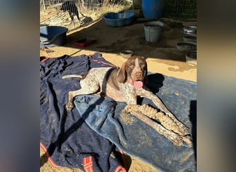 ﻿Sportlicher Partner mit Kuschelqualitäten sucht Familie 