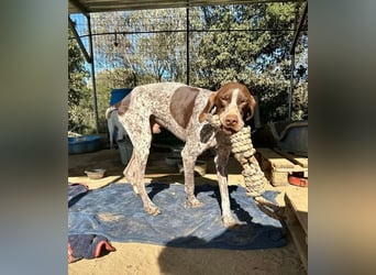 ﻿Sportlicher Partner mit Kuschelqualitäten sucht Familie 