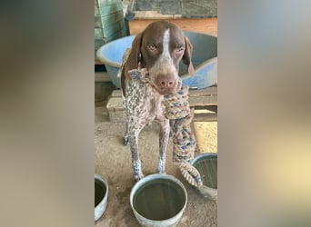 ﻿Sportlicher Partner mit Kuschelqualitäten sucht Familie 