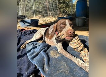 ﻿Sportlicher Partner mit Kuschelqualitäten sucht Familie 