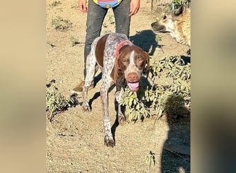 ﻿Sportlicher Partner mit Kuschelqualitäten sucht Familie 