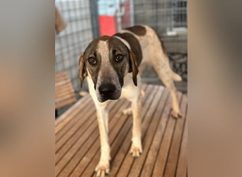 DARIUS - voller Energie & Liebe, bereit fürs Leben