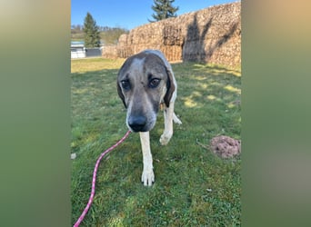 DARIUS - voller Energie & Liebe, bereit fürs Leben