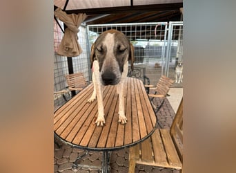 DARIUS - voller Energie & Liebe, bereit fürs Leben