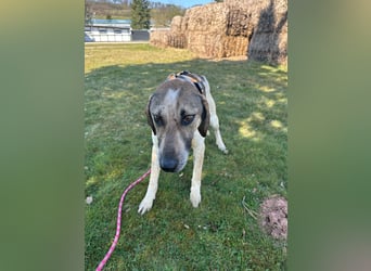 DARIUS - voller Energie & Liebe, bereit fürs Leben