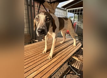 DARIUS - voller Energie & Liebe, bereit fürs Leben