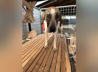 DARIUS - voller Energie & Liebe, bereit fürs Leben