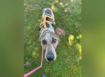 DARIUS - voller Energie & Liebe, bereit fürs Leben