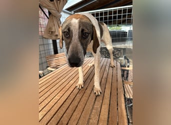 DARIUS - voller Energie & Liebe, bereit fürs Leben