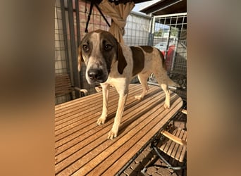 DARIUS - voller Energie & Liebe, bereit fürs Leben