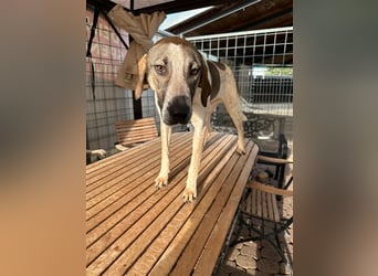 DARIUS - voller Energie & Liebe, bereit fürs Leben