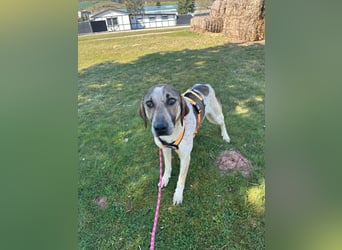 DARIUS - voller Energie & Liebe, bereit fürs Leben