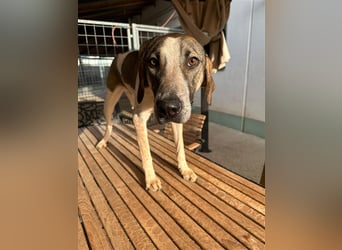 DARIUS - voller Energie & Liebe, bereit fürs Leben