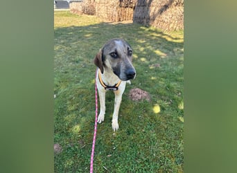 DARIUS - voller Energie & Liebe, bereit fürs Leben