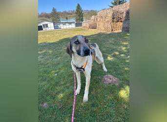 DARIUS - voller Energie & Liebe, bereit fürs Leben