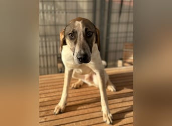 DARIUS - voller Energie & Liebe, bereit fürs Leben