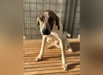 DARIUS - voller Energie & Liebe, bereit fürs Leben