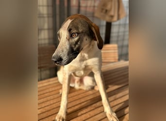 DARIUS - voller Energie & Liebe, bereit fürs Leben