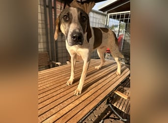 DARIUS - voller Energie & Liebe, bereit fürs Leben