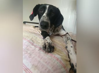 BELLA - intelligentes Mädchen wartet auf ihre Menschen