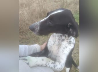 BELLA - intelligentes Mädchen wartet auf ihre Menschen