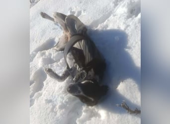 BELLA - intelligentes Mädchen wartet auf ihre Menschen