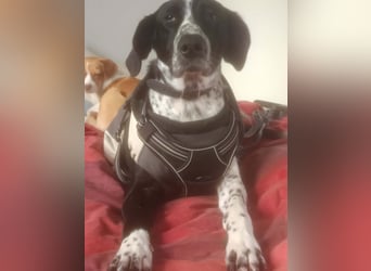 BELLA - intelligentes Mädchen wartet auf ihre Menschen