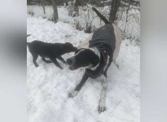 BELLA - intelligentes Mädchen wartet auf ihre Menschen