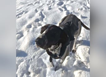 BELLA - intelligentes Mädchen wartet auf ihre Menschen