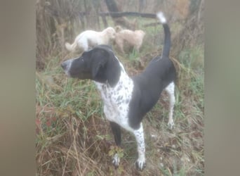 BELLA - intelligentes Mädchen wartet auf ihre Menschen