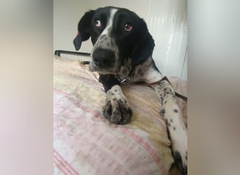 BELLA - intelligentes Mädchen wartet auf ihre Menschen