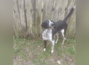 BELLA - intelligentes Mädchen wartet auf ihre Menschen