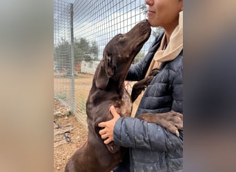 naturverbundene freundliche agile FLORA