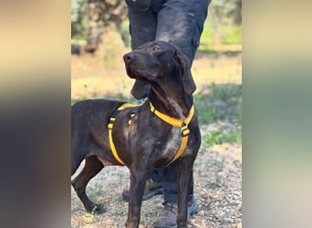 naturverbundene freundliche agile FLORA