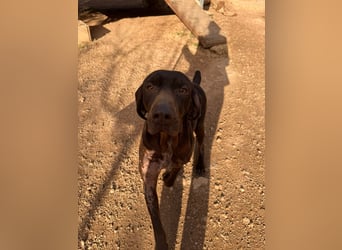 naturverbundene freundliche agile FLORA