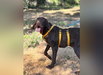 naturverbundene freundliche agile FLORA