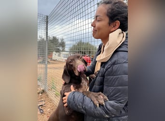 naturverbundene freundliche agile FLORA