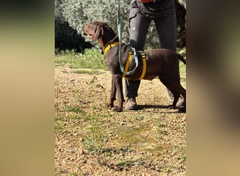 naturverbundene freundliche agile FLORA