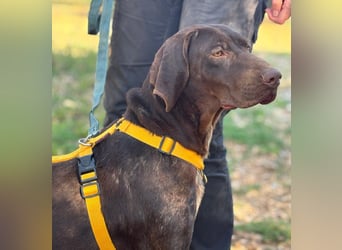 naturverbundene freundliche agile FLORA