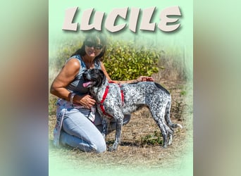 Lucile - ein feines Maedchen