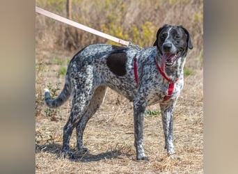 Lucile - ein feines Maedchen