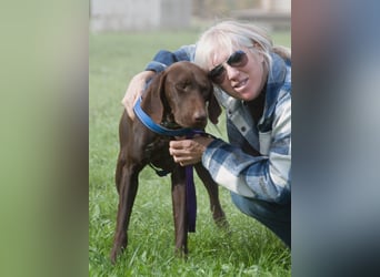 Ranger – ein Prachtkerl