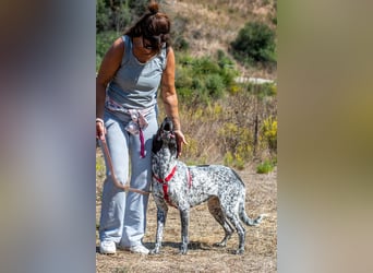 Lucile - ein feines Maedchen