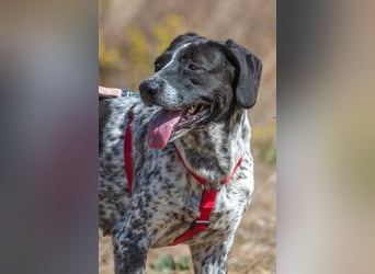 Lucile - ein feines Maedchen