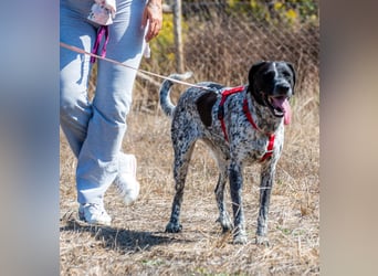 Lucile - ein feines Maedchen