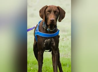 Ranger – ein Prachtkerl