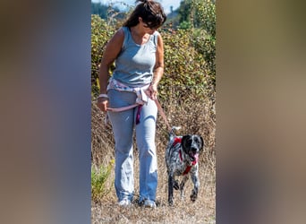 Lucile - ein feines Maedchen