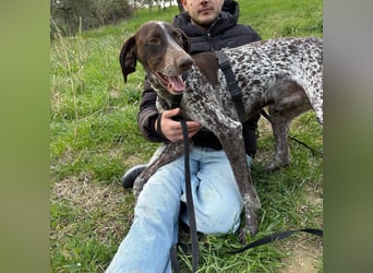 Max - gute Laune auf vier Pfoten sucht seine sportlichen Menschen für gemeinsame Abenteuer